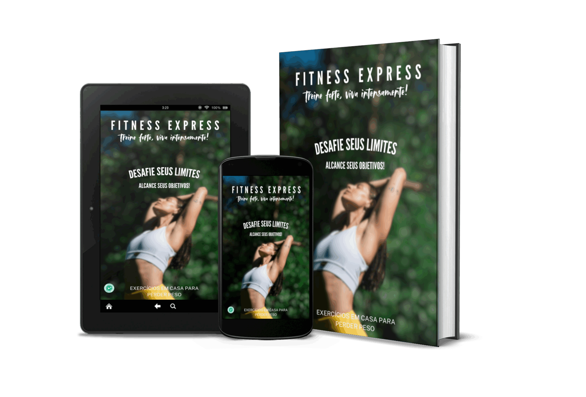 FITNESS EXPRESS: EXERCÍCIOS